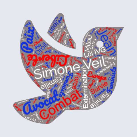 Simone, le voyage du sicle