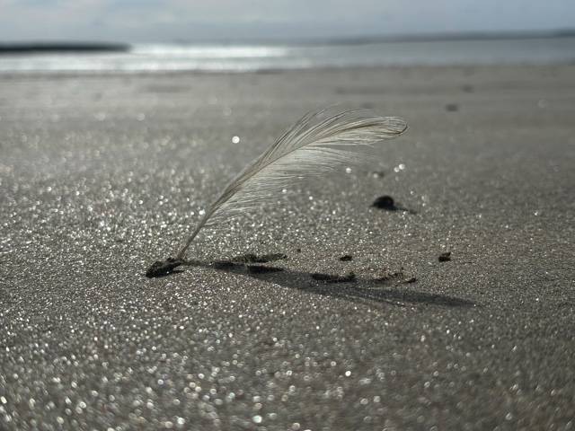 BTS COM1 Concours photo #1