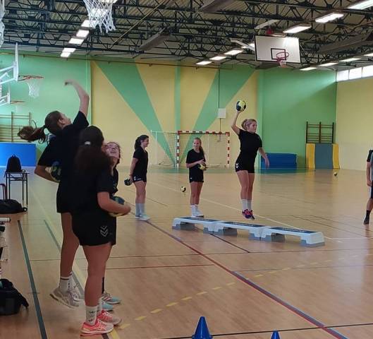 Candidatures section sportive handball fminin