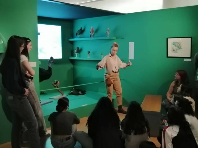 Projet Narcisse Pelletier