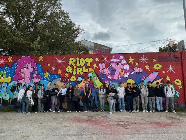 Module Diversit STMG : c